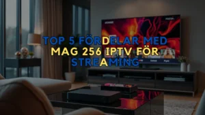 MAG 256 IPTV boks