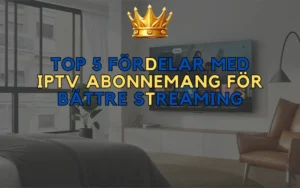 IPTV Abonnemang Boks